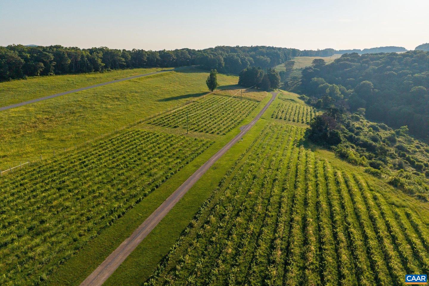 24981 BLUE RIDGE PKWY, VESUVIUS, Virginia 24483, 4 Bedrooms Bedrooms, ,4 BathroomsBathrooms,Residential,For Sale,24981 BLUE RIDGE PKWY,661914 MLS # 661914 24981 BLUE RIDGE PKWY, VESUVIUS, Virginia 24483, 4 Bedrooms Bedrooms, ,4 BathroomsBathrooms,Residential,For Sale,24981 BLUE RIDGE PKWY,661914 MLS # 661914