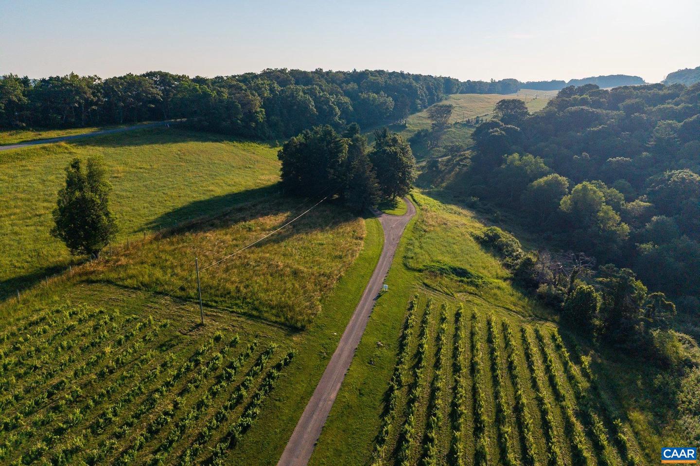 24981 BLUE RIDGE PKWY, VESUVIUS, Virginia 24483, 4 Bedrooms Bedrooms, ,4 BathroomsBathrooms,Residential,For Sale,24981 BLUE RIDGE PKWY,661914 MLS # 661914 24981 BLUE RIDGE PKWY, VESUVIUS, Virginia 24483, 4 Bedrooms Bedrooms, ,4 BathroomsBathrooms,Residential,For Sale,24981 BLUE RIDGE PKWY,661914 MLS # 661914