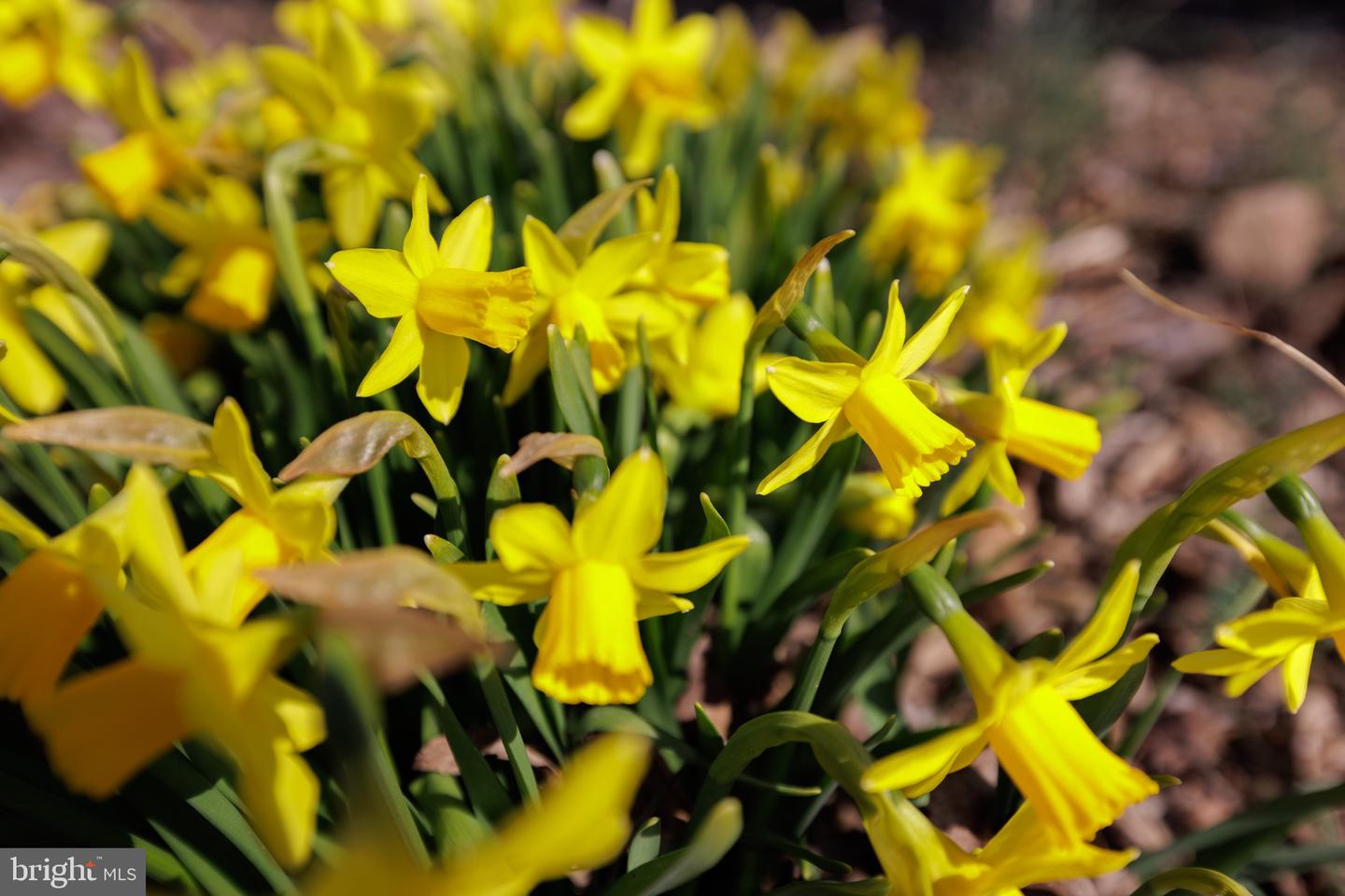 4204 OLD FINCASTLE RD, FINCASTLE, Virginia 24090, 3 Bedrooms Bedrooms, ,2 BathroomsBathrooms,Farm,For Sale,4204 OLD FINCASTLE RD,VABO2000014 MLS # VABO2000014 4204 OLD FINCASTLE RD, FINCASTLE, Virginia 24090, 3 Bedrooms Bedrooms, ,2 BathroomsBathrooms,Farm,For Sale,4204 OLD FINCASTLE RD,VABO2000014 MLS # VABO2000014