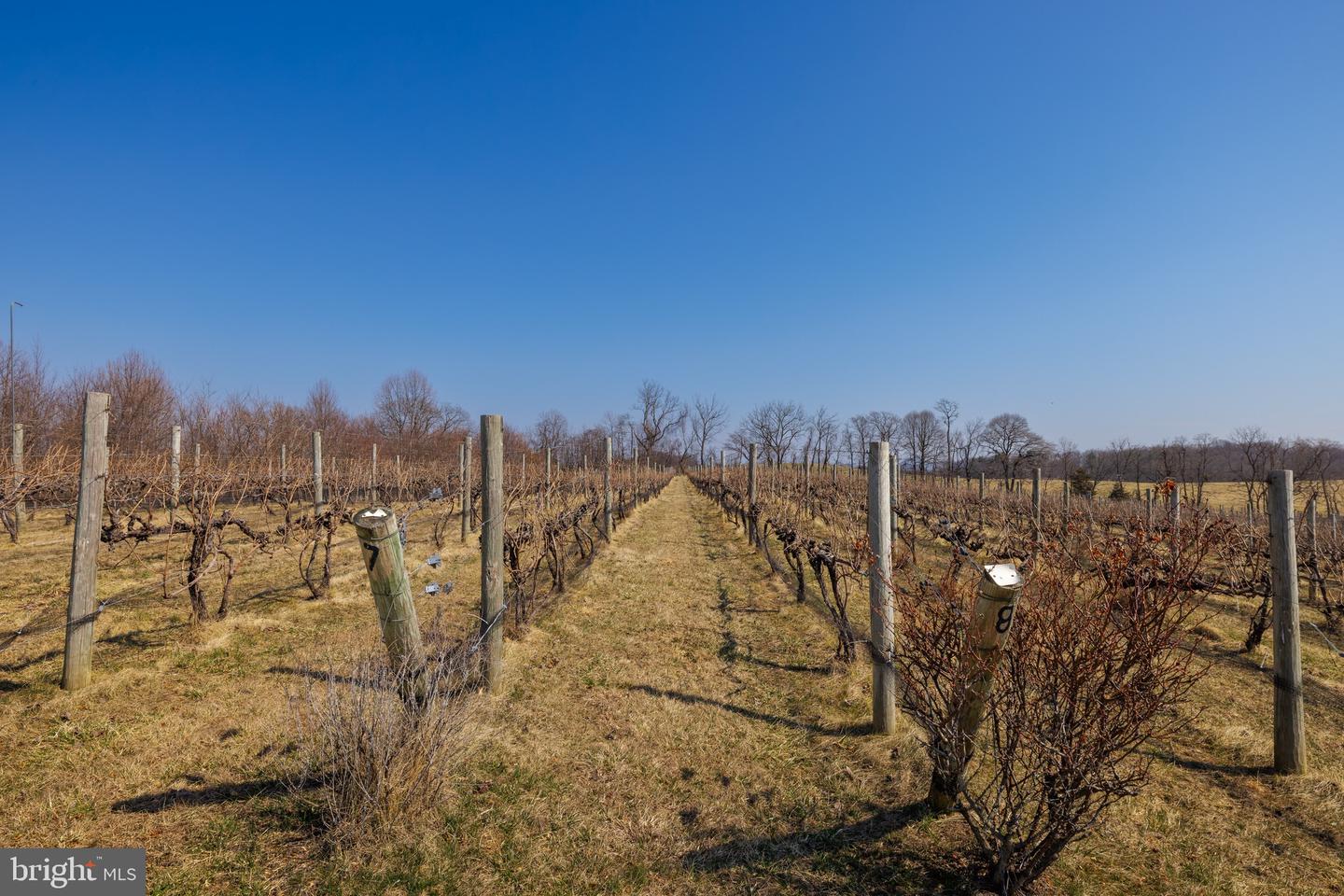 4204 OLD FINCASTLE RD, FINCASTLE, Virginia 24090, 3 Bedrooms Bedrooms, ,2 BathroomsBathrooms,Farm,For Sale,4204 OLD FINCASTLE RD,VABO2000014 MLS # VABO2000014 4204 OLD FINCASTLE RD, FINCASTLE, Virginia 24090, 3 Bedrooms Bedrooms, ,2 BathroomsBathrooms,Farm,For Sale,4204 OLD FINCASTLE RD,VABO2000014 MLS # VABO2000014