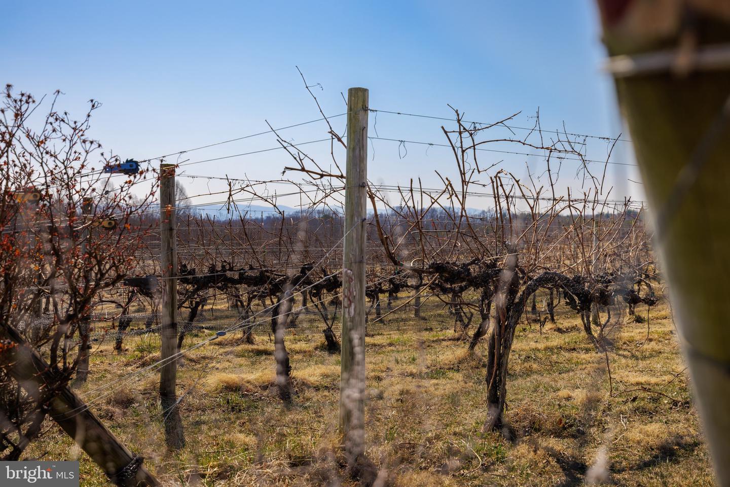 4204 OLD FINCASTLE RD, FINCASTLE, Virginia 24090, 3 Bedrooms Bedrooms, ,2 BathroomsBathrooms,Farm,For Sale,4204 OLD FINCASTLE RD,VABO2000014 MLS # VABO2000014 4204 OLD FINCASTLE RD, FINCASTLE, Virginia 24090, 3 Bedrooms Bedrooms, ,2 BathroomsBathrooms,Farm,For Sale,4204 OLD FINCASTLE RD,VABO2000014 MLS # VABO2000014