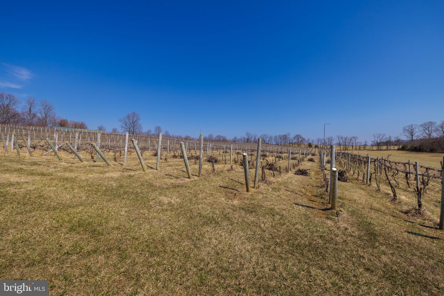 4204 OLD FINCASTLE RD, FINCASTLE, Virginia 24090, 3 Bedrooms Bedrooms, ,2 BathroomsBathrooms,Farm,For Sale,4204 OLD FINCASTLE RD,VABO2000014 MLS # VABO2000014 4204 OLD FINCASTLE RD, FINCASTLE, Virginia 24090, 3 Bedrooms Bedrooms, ,2 BathroomsBathrooms,Farm,For Sale,4204 OLD FINCASTLE RD,VABO2000014 MLS # VABO2000014