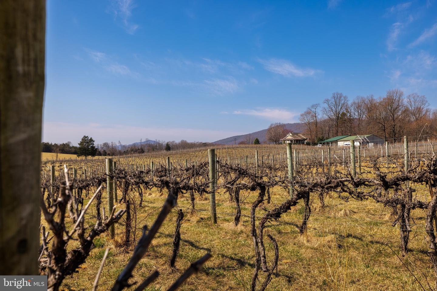 4204 OLD FINCASTLE RD, FINCASTLE, Virginia 24090, 3 Bedrooms Bedrooms, ,2 BathroomsBathrooms,Residential,For Sale,4204 OLD FINCASTLE RD,VABO2000012 MLS # VABO2000012