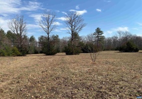 2065 LINDSAY RD, KESWICK, Virginia 22947, ,Farm,For Sale,2065 LINDSAY RD,662164 MLS # 662164 2065 LINDSAY RD, KESWICK, Virginia 22947, ,Farm,For Sale,2065 LINDSAY RD,662164 MLS # 662164