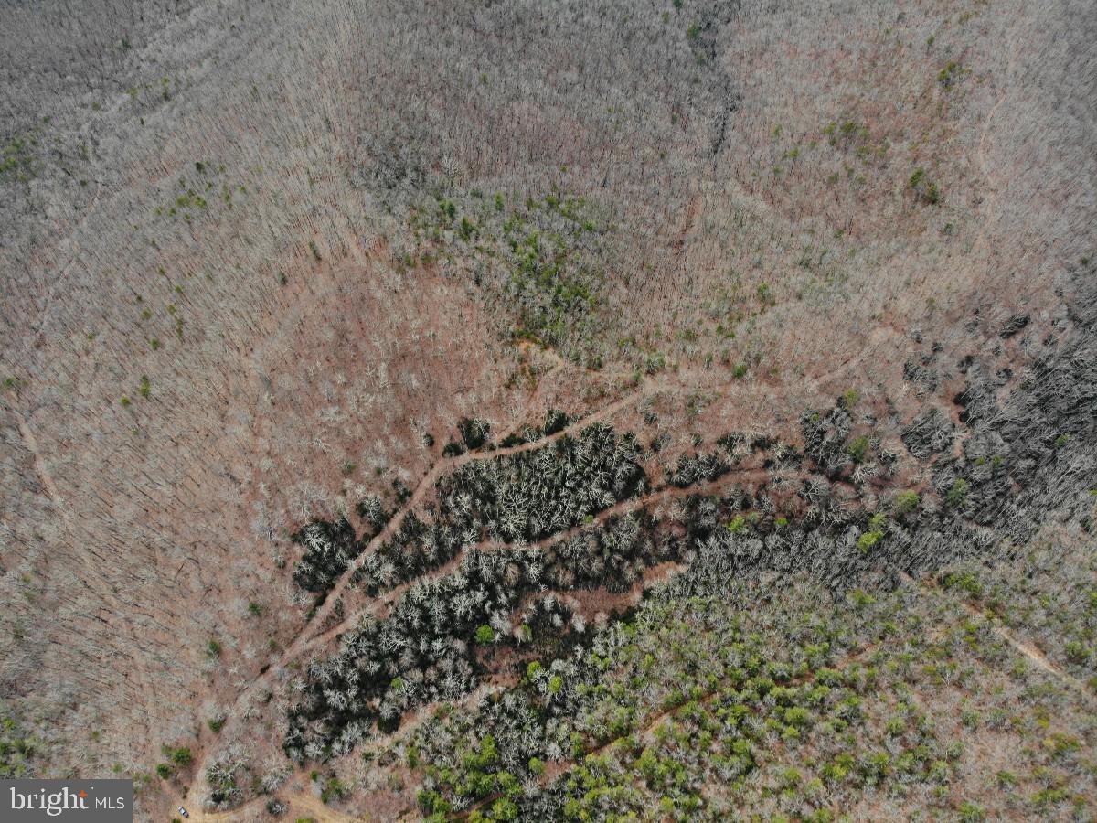 KELSEY LN, HIWASSEE, Virginia 24347, ,Farm,For Sale,KELSEY LN,VAPU2000032 MLS # VAPU2000032