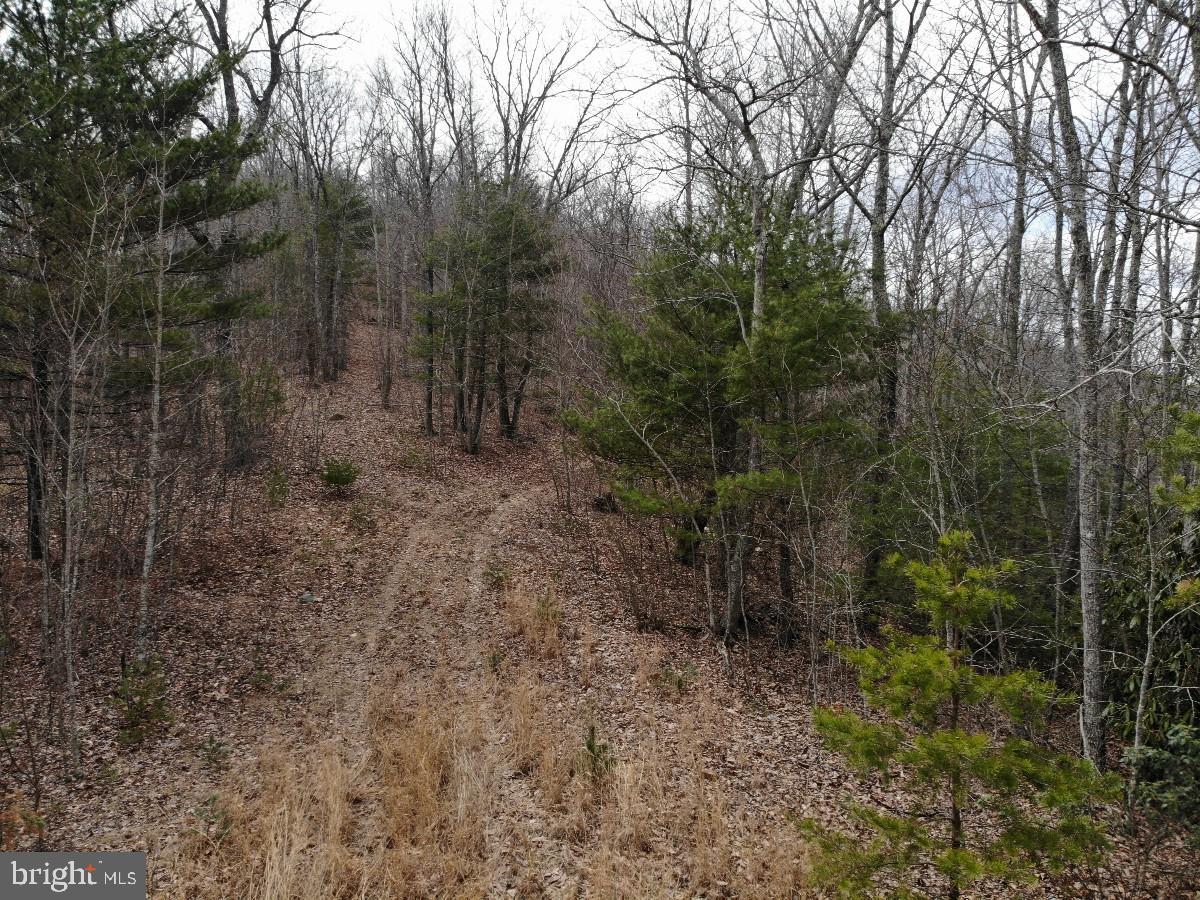 KELSEY LN, HIWASSEE, Virginia 24347, ,Farm,For Sale,KELSEY LN,VAPU2000032 MLS # VAPU2000032