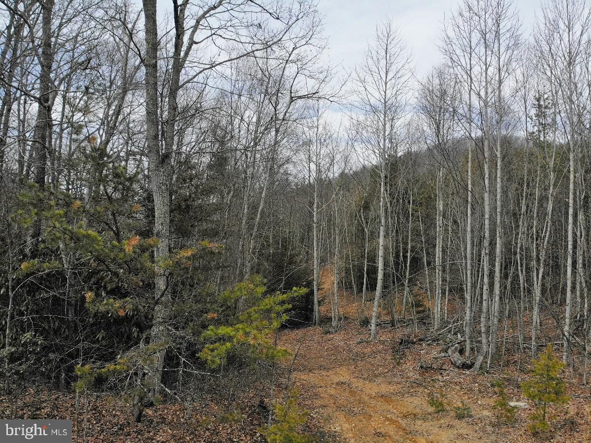 KELSEY LN, HIWASSEE, Virginia 24347, ,Farm,For Sale,KELSEY LN,VAPU2000032 MLS # VAPU2000032