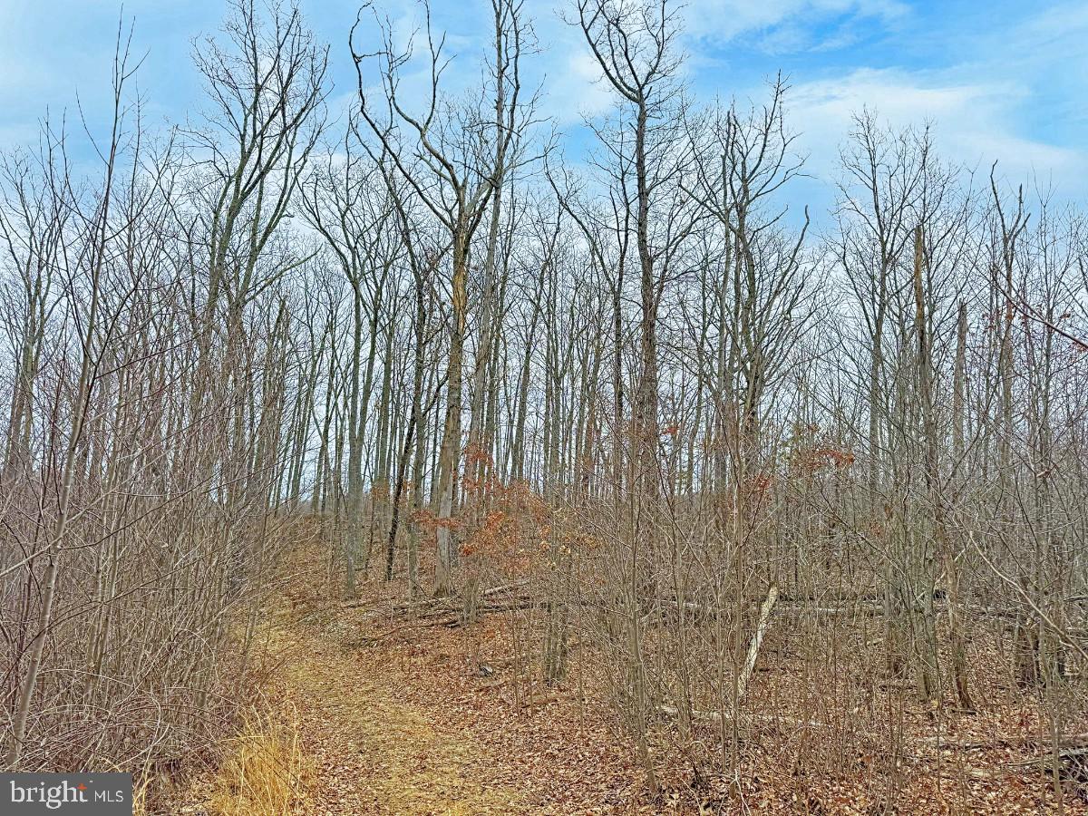 KELSEY LN, HIWASSEE, Virginia 24347, ,Farm,For Sale,KELSEY LN,VAPU2000032 MLS # VAPU2000032