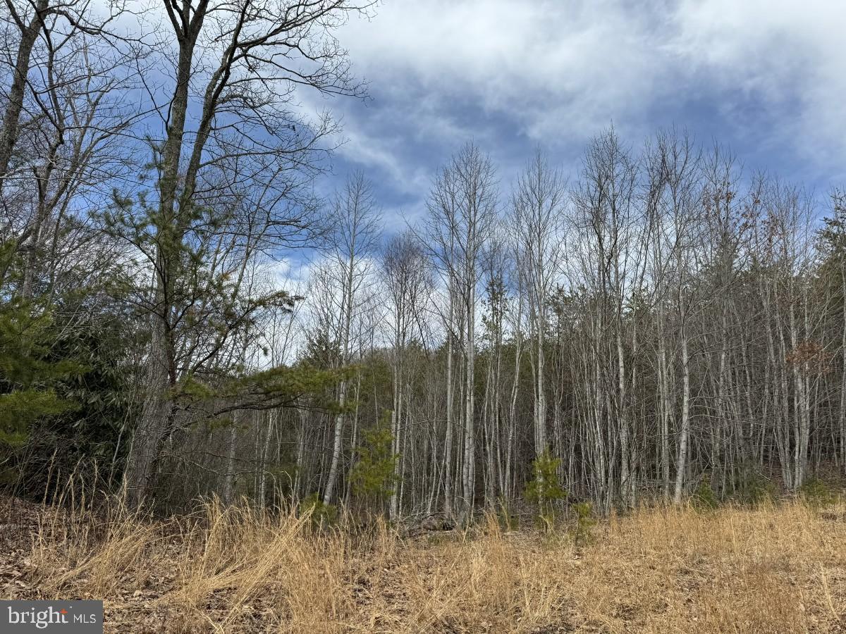 KELSEY LN, HIWASSEE, Virginia 24347, ,Farm,For Sale,KELSEY LN,VAPU2000032 MLS # VAPU2000032