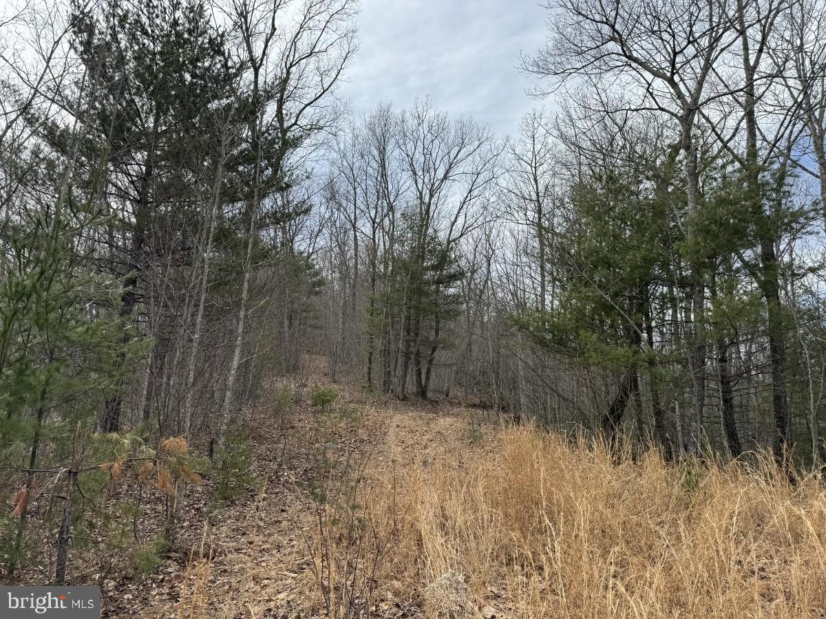 KELSEY LN, HIWASSEE, Virginia 24347, ,Farm,For Sale,KELSEY LN,VAPU2000032 MLS # VAPU2000032