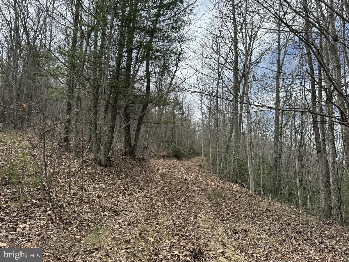 KELSEY LN, HIWASSEE, Virginia 24347, ,Farm,For Sale,KELSEY LN,VAPU2000032 MLS # VAPU2000032