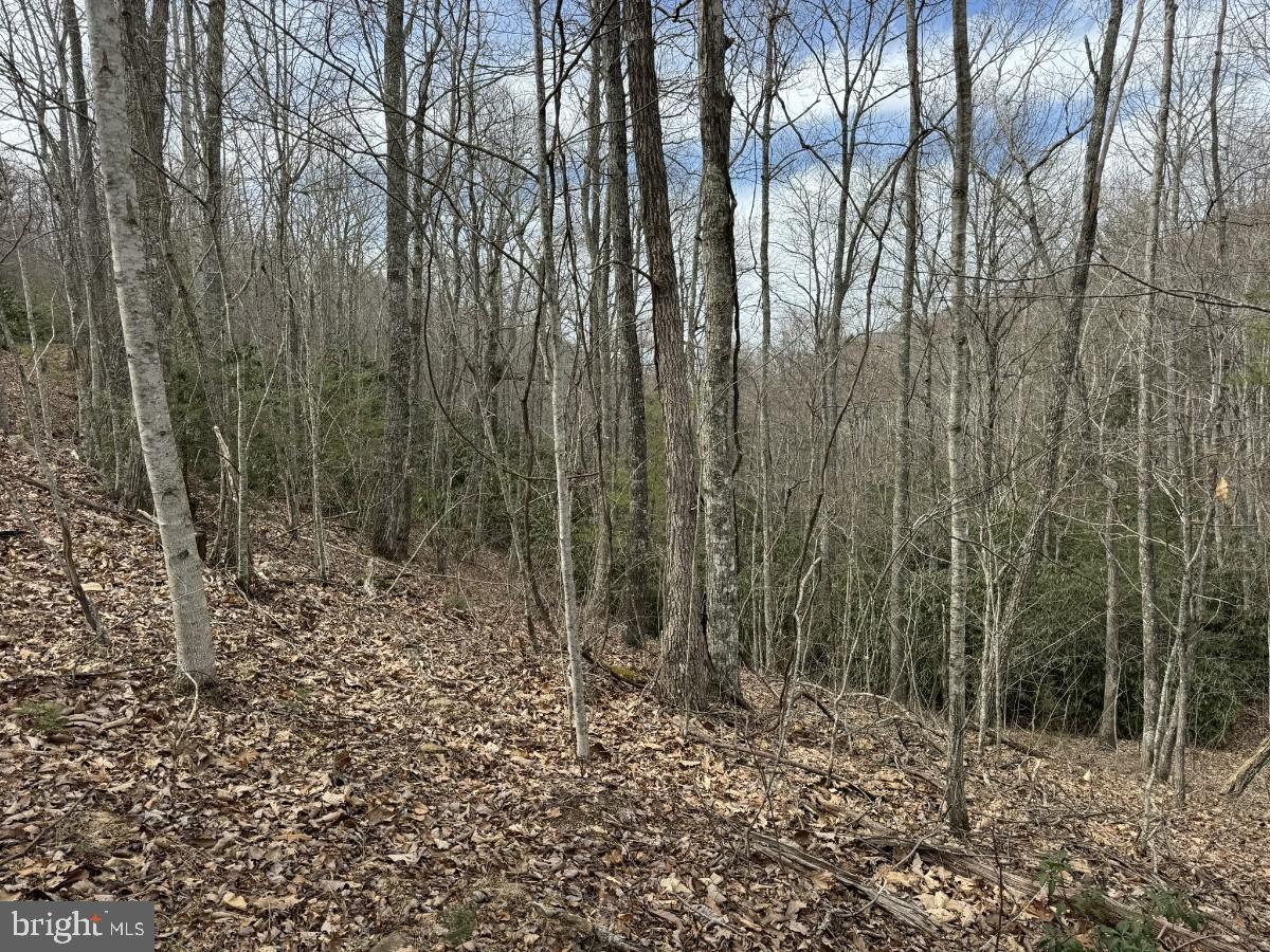 KELSEY LN, HIWASSEE, Virginia 24347, ,Farm,For Sale,KELSEY LN,VAPU2000032 MLS # VAPU2000032