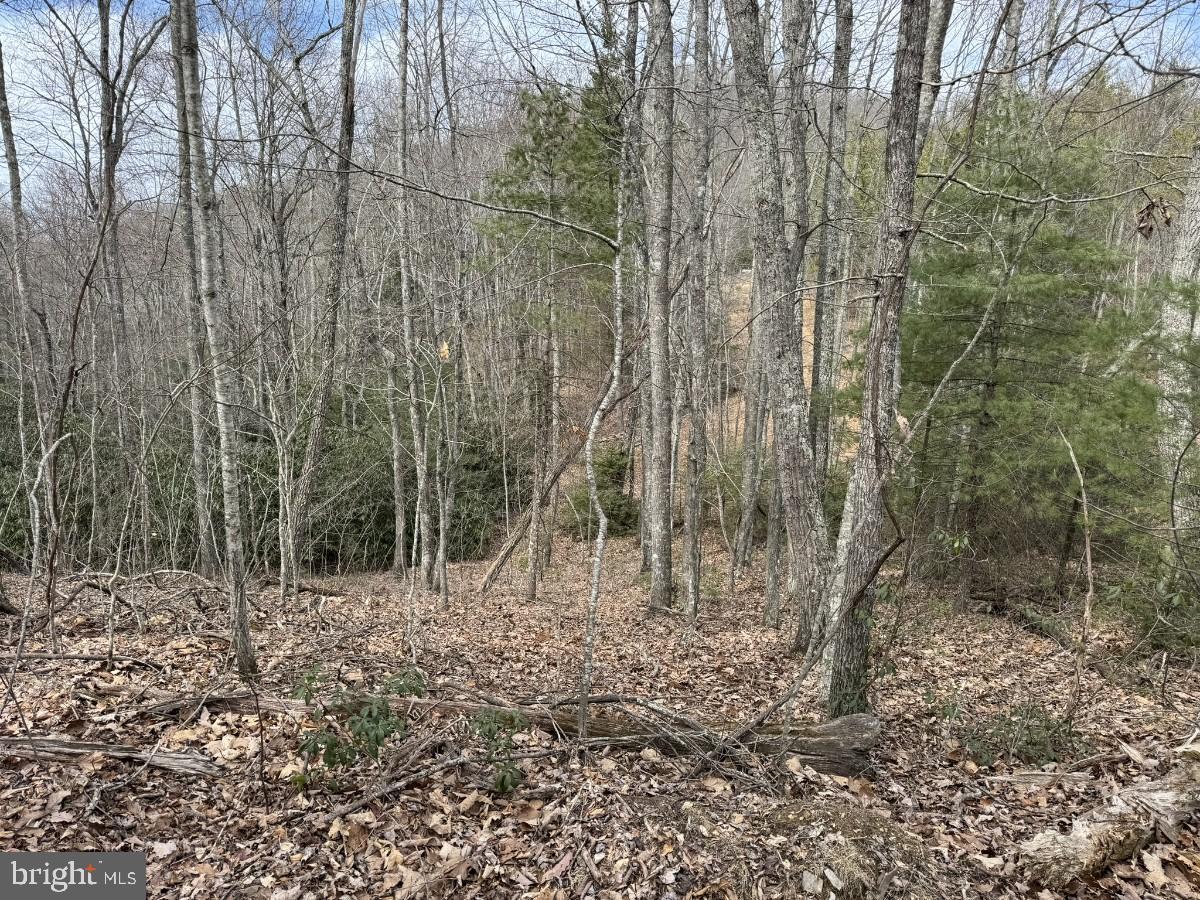 KELSEY LN, HIWASSEE, Virginia 24347, ,Farm,For Sale,KELSEY LN,VAPU2000032 MLS # VAPU2000032