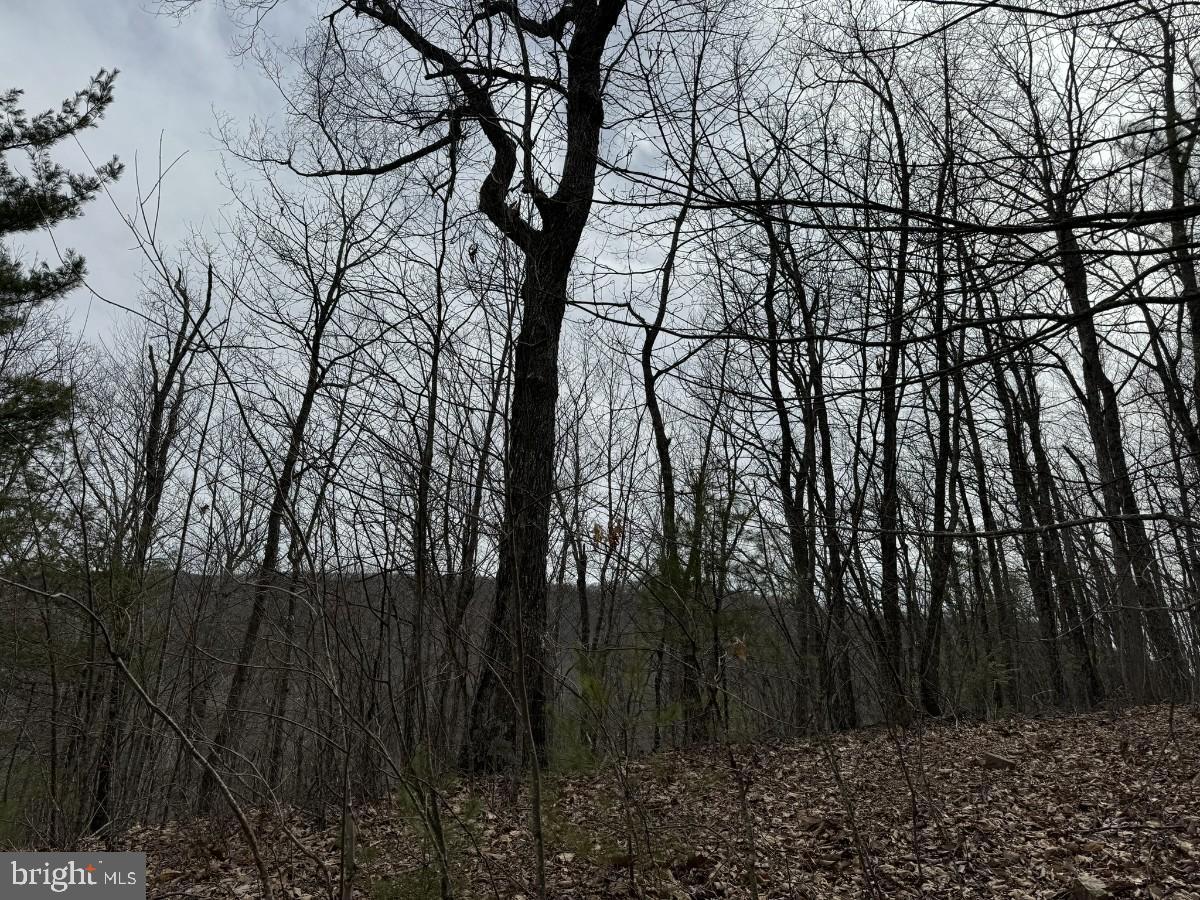 KELSEY LN, HIWASSEE, Virginia 24347, ,Farm,For Sale,KELSEY LN,VAPU2000032 MLS # VAPU2000032