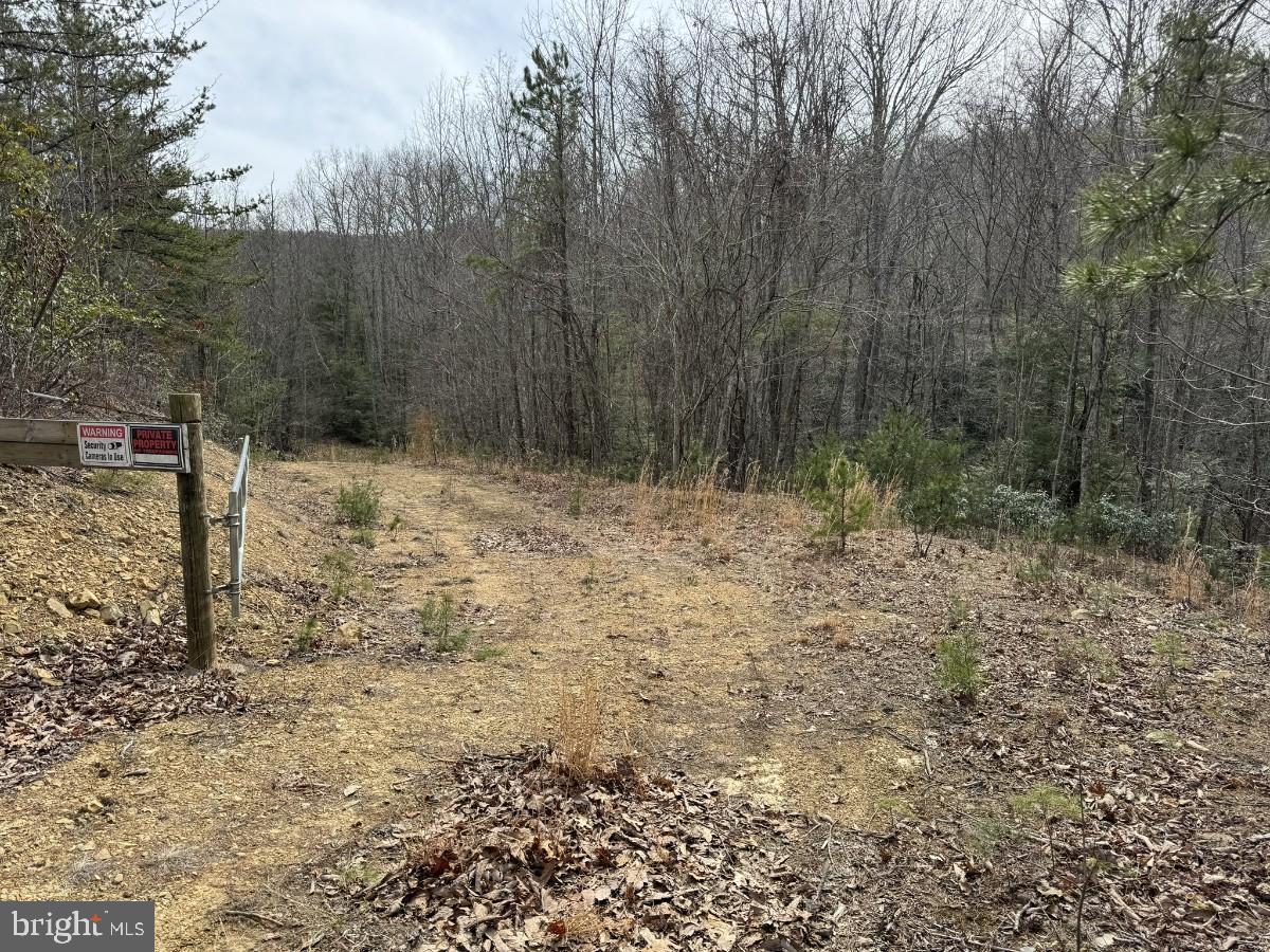 KELSEY LN, HIWASSEE, Virginia 24347, ,Farm,For Sale,KELSEY LN,VAPU2000032 MLS # VAPU2000032