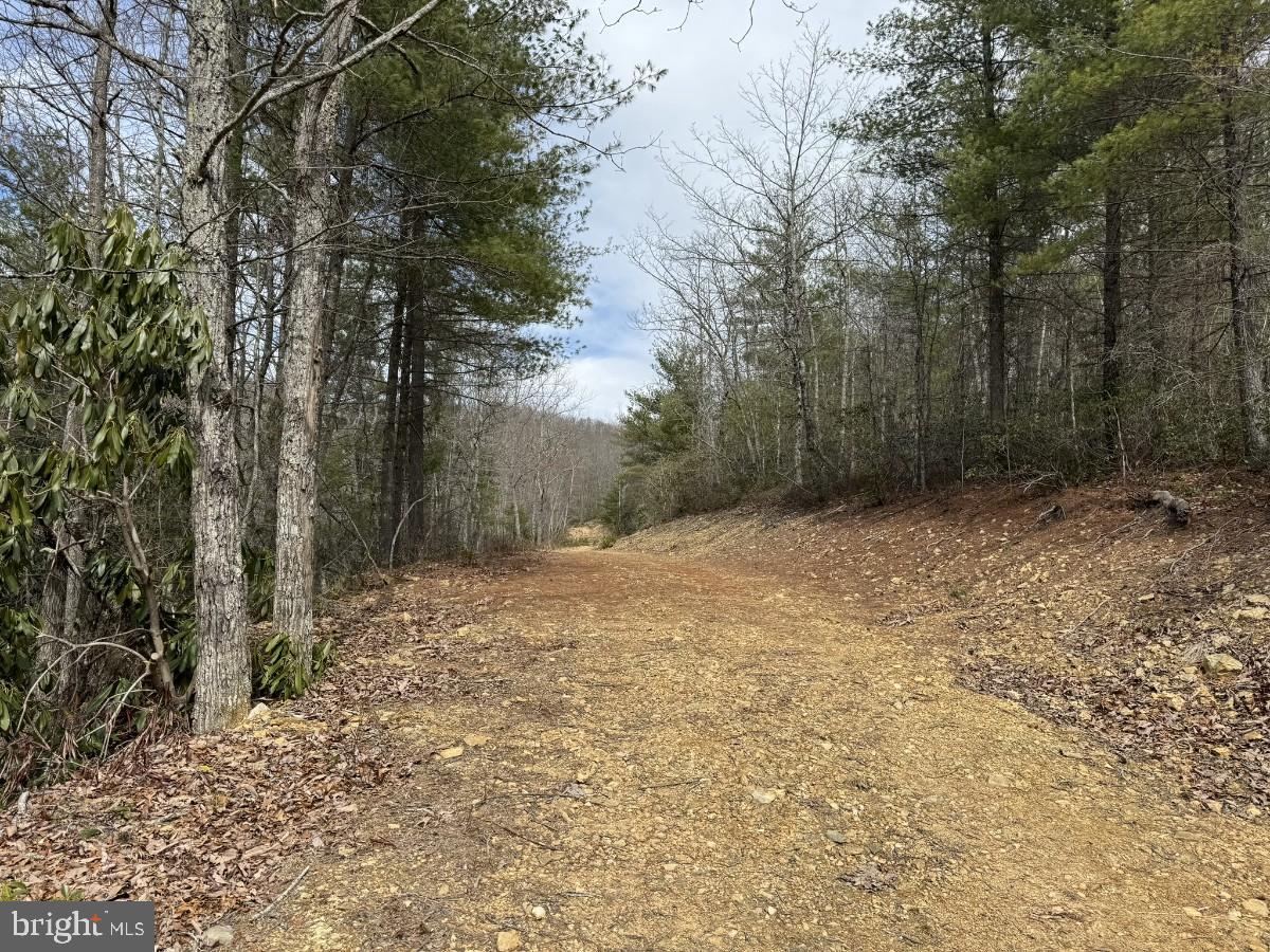 KELSEY LN, HIWASSEE, Virginia 24347, ,Farm,For Sale,KELSEY LN,VAPU2000032 MLS # VAPU2000032