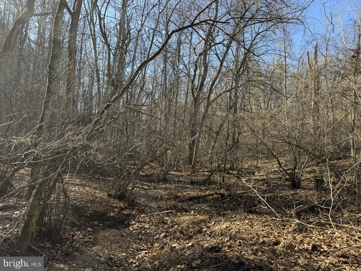 KELSEY LN, HIWASSEE, Virginia 24347, ,Farm,For Sale,KELSEY LN,VAPU2000032 MLS # VAPU2000032