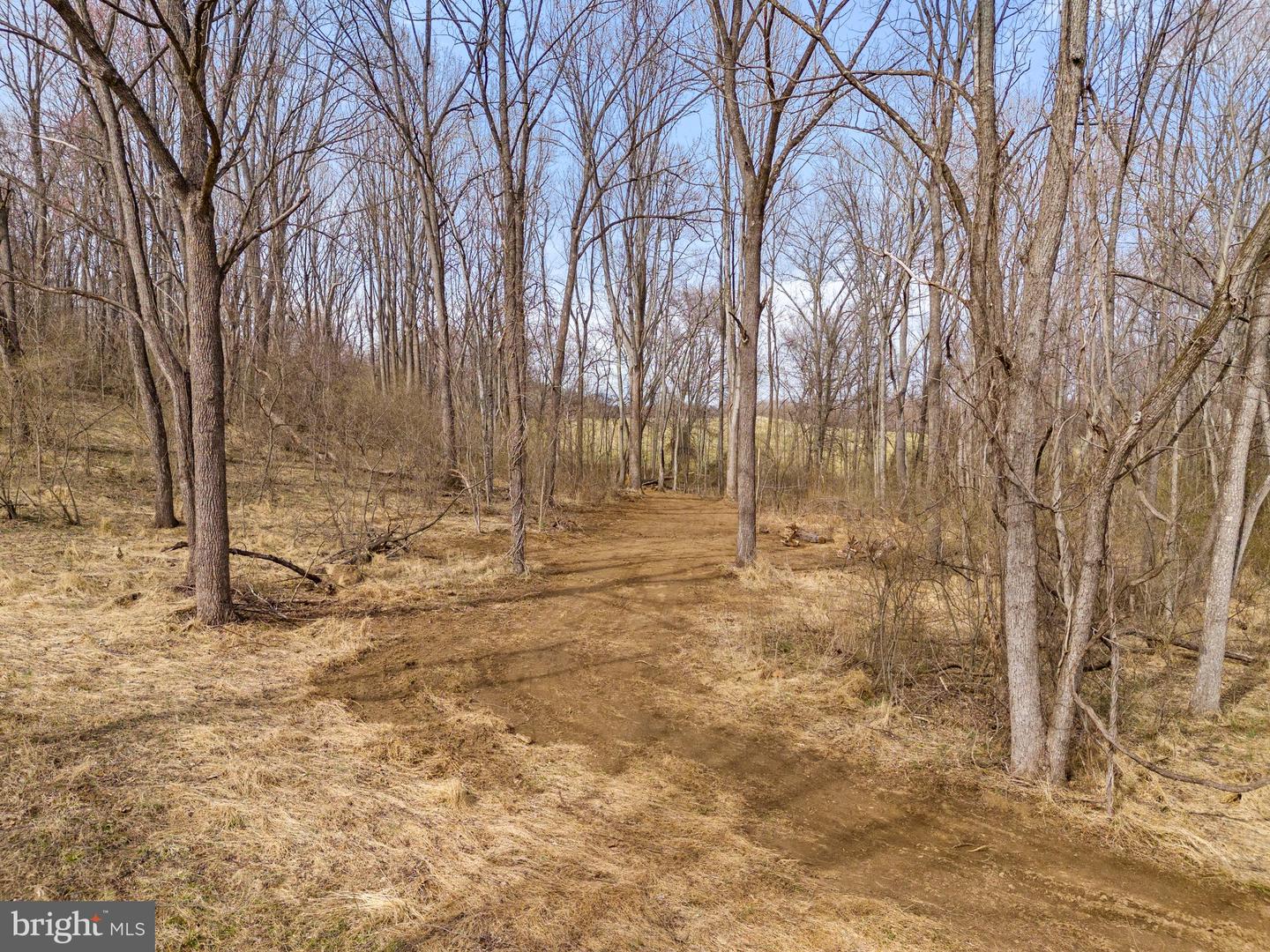 4050 CARRINGTON RD, DELAPLANE, Virginia 20144, 4 Bedrooms Bedrooms, ,2 BathroomsBathrooms,Residential,For Sale,4050 CARRINGTON RD,VAFQ2015750 MLS # VAFQ2015750 4050 CARRINGTON RD, DELAPLANE, Virginia 20144, 4 Bedrooms Bedrooms, ,2 BathroomsBathrooms,Residential,For Sale,4050 CARRINGTON RD,VAFQ2015750 MLS # VAFQ2015750