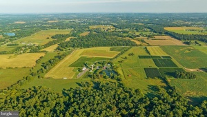 14727 MOUNTAIN RD, HILLSBORO, Virginia 20132, 7 Bedrooms Bedrooms, ,4 BathroomsBathrooms,Farm,For Sale,14727 MOUNTAIN RD,VALO2091860 MLS # VALO2091860