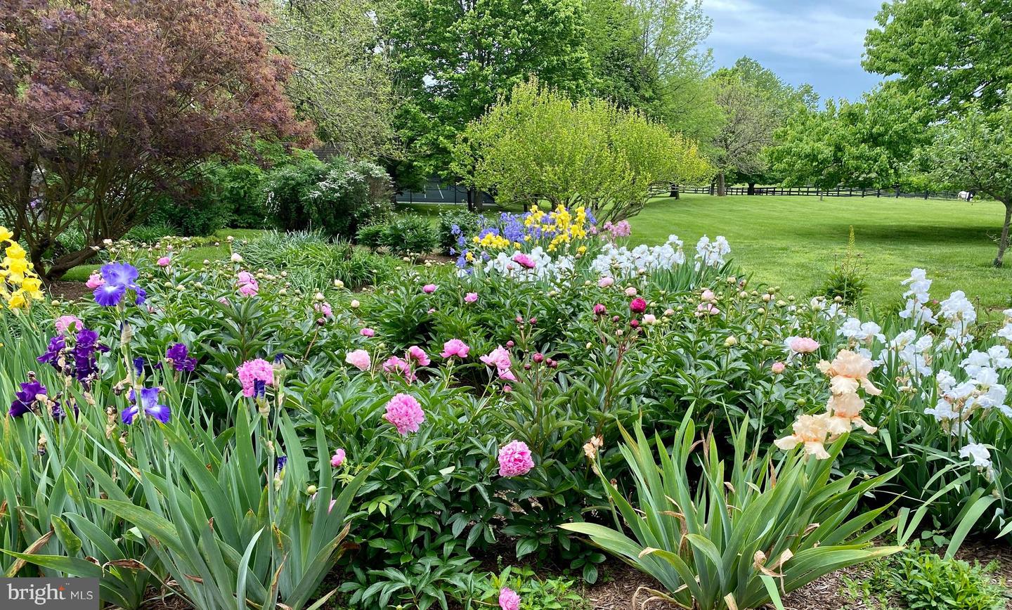 3050 RECTORTOWN RD, MARSHALL, Virginia 20115, 7 Bedrooms Bedrooms, ,7 BathroomsBathrooms,Residential,For Sale,3050 RECTORTOWN RD,VAFQ2015650 MLS # VAFQ2015650 3050 RECTORTOWN RD, MARSHALL, Virginia 20115, 7 Bedrooms Bedrooms, ,7 BathroomsBathrooms,Residential,For Sale,3050 RECTORTOWN RD,VAFQ2015650 MLS # VAFQ2015650