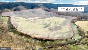 2296 RIVERVIEW DR TOMS BROOK Virginia 22660