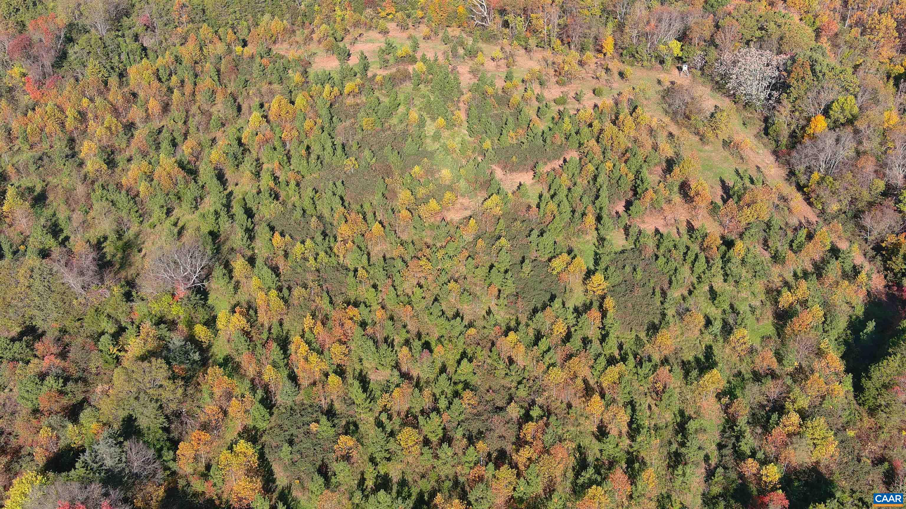 TBD OLD BARBOURSVILLE RD, GORDONSVILLE, Virginia 22942, ,Farm,14,TBD OLD BARBOURSVILLE RD,662483 MLS # 662483