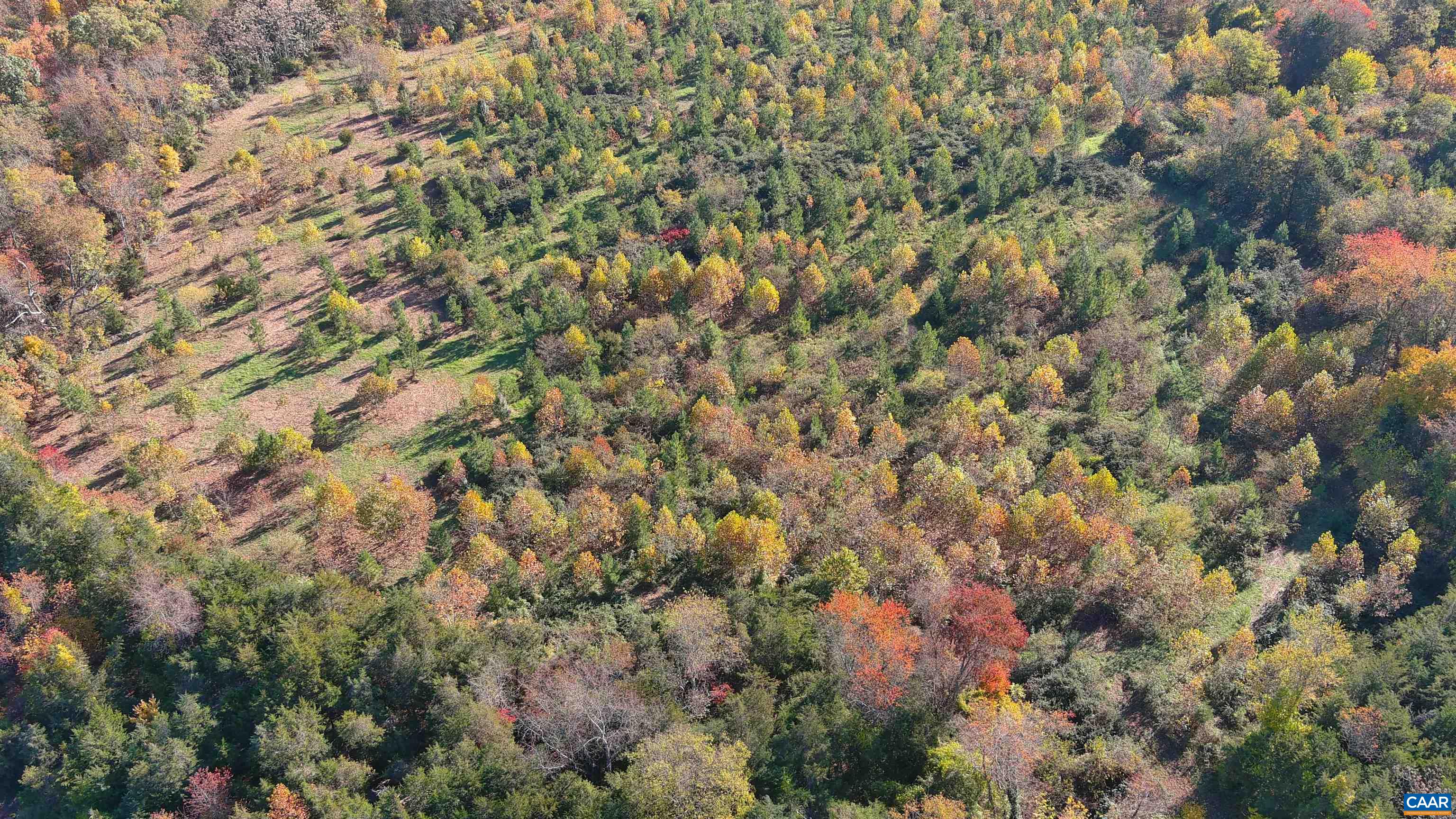 TBD OLD BARBOURSVILLE RD, GORDONSVILLE, Virginia 22942, ,Farm,14,TBD OLD BARBOURSVILLE RD,662483 MLS # 662483