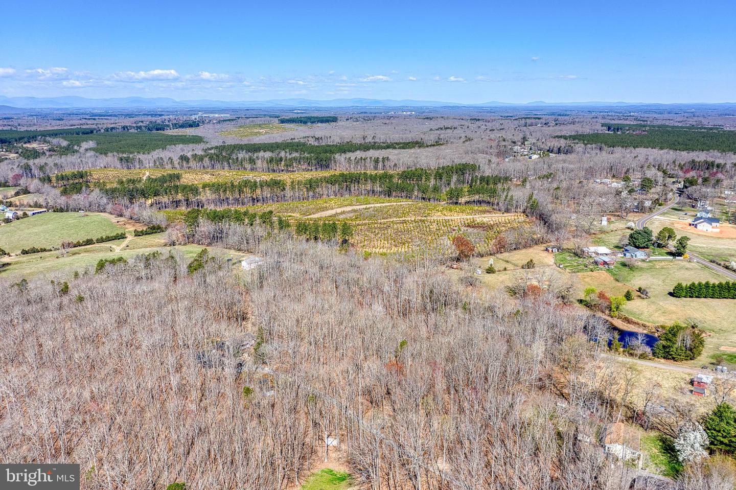 YELLOWBOTTOM RD, LIGNUM, Virginia 22726, ,Farm,For Sale,YELLOWBOTTOM RD,VACU2010188 MLS # VACU2010188