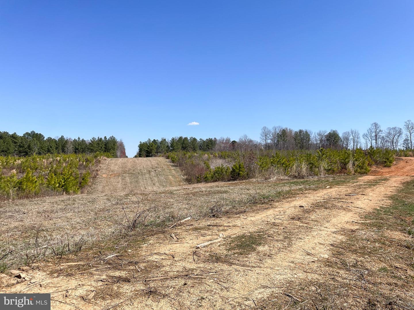 YELLOWBOTTOM RD, LIGNUM, Virginia 22726, ,Farm,For Sale,YELLOWBOTTOM RD,VACU2010188 MLS # VACU2010188