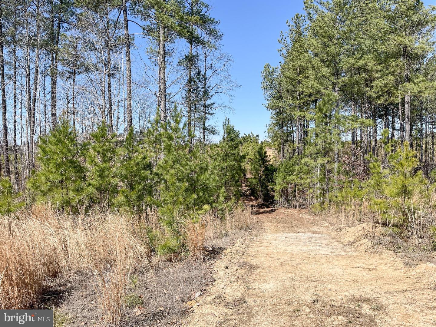 YELLOWBOTTOM RD, LIGNUM, Virginia 22726, ,Farm,For Sale,YELLOWBOTTOM RD,VACU2010188 MLS # VACU2010188