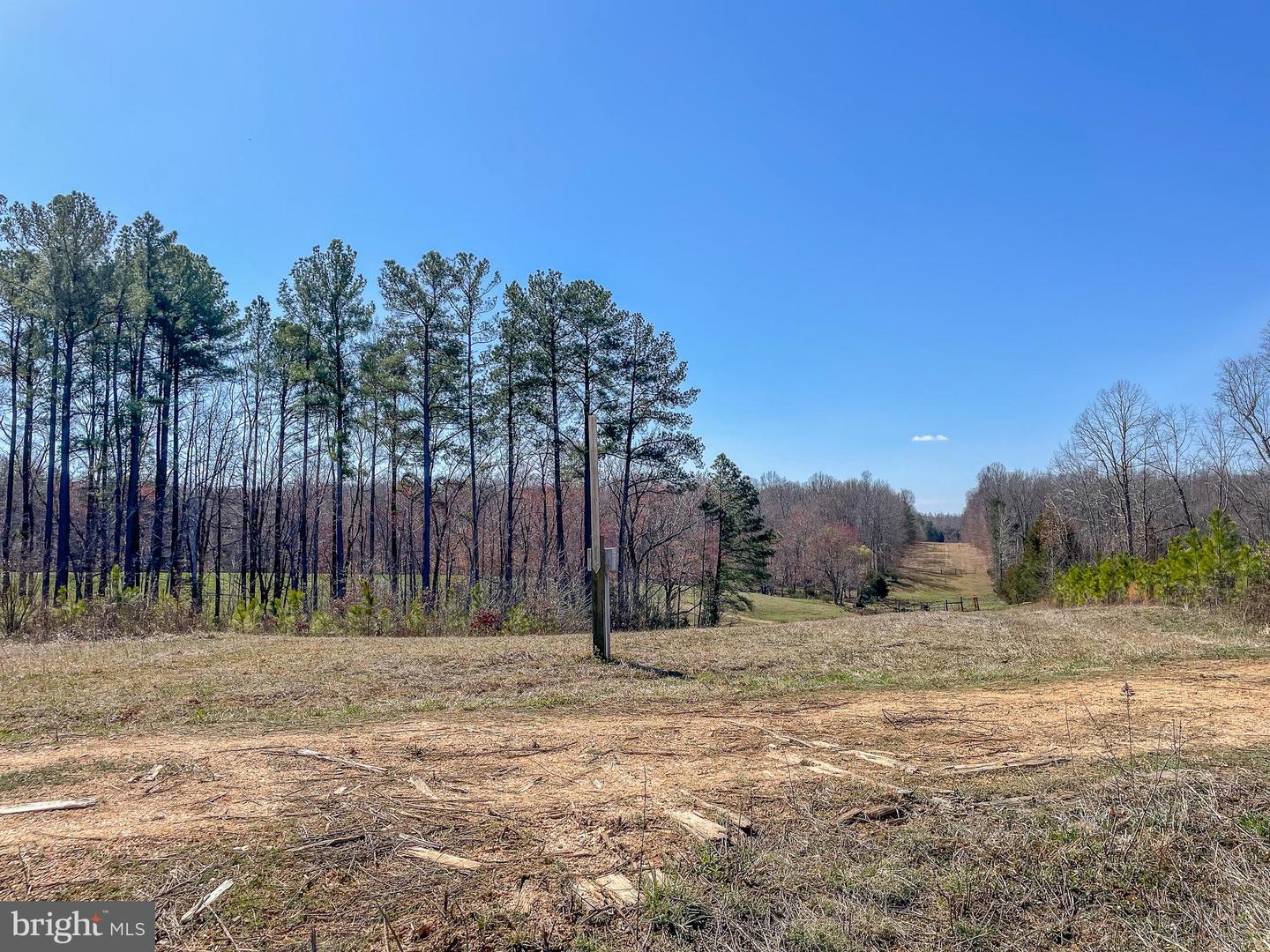 YELLOWBOTTOM RD, LIGNUM, Virginia 22726, ,Farm,For Sale,YELLOWBOTTOM RD,VACU2010188 MLS # VACU2010188