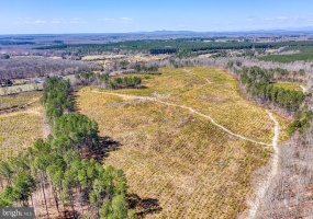 YELLOWBOTTOM RD, LIGNUM, Virginia 22726, ,Farm,For Sale,YELLOWBOTTOM RD,VACU2010188 MLS # VACU2010188 YELLOWBOTTOM RD, LIGNUM, Virginia 22726, ,Farm,For Sale,YELLOWBOTTOM RD,VACU2010188 MLS # VACU2010188