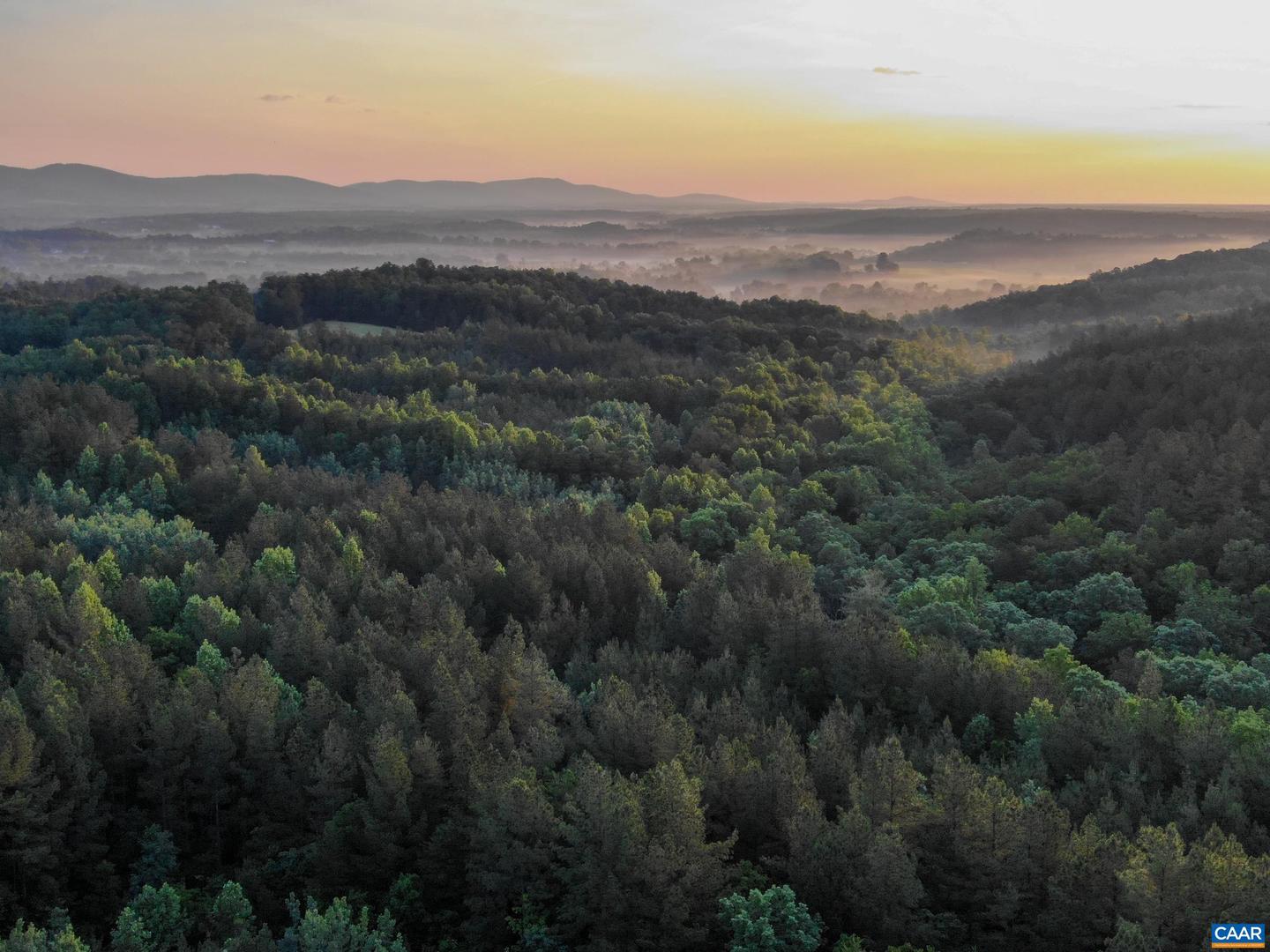 0 GARLAND DR, CHARLOTTESVILLE, Virginia 22902, ,Farm,For Sale,0 GARLAND DR,662742 MLS # 662742 0 GARLAND DR, CHARLOTTESVILLE, Virginia 22902, ,Farm,For Sale,0 GARLAND DR,662742 MLS # 662742