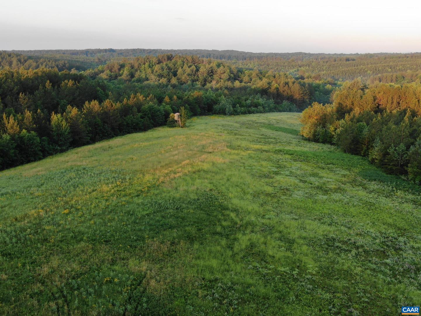 0 GARLAND DR, CHARLOTTESVILLE, Virginia 22902, ,Farm,For Sale,0 GARLAND DR,662742 MLS # 662742 0 GARLAND DR, CHARLOTTESVILLE, Virginia 22902, ,Farm,For Sale,0 GARLAND DR,662742 MLS # 662742