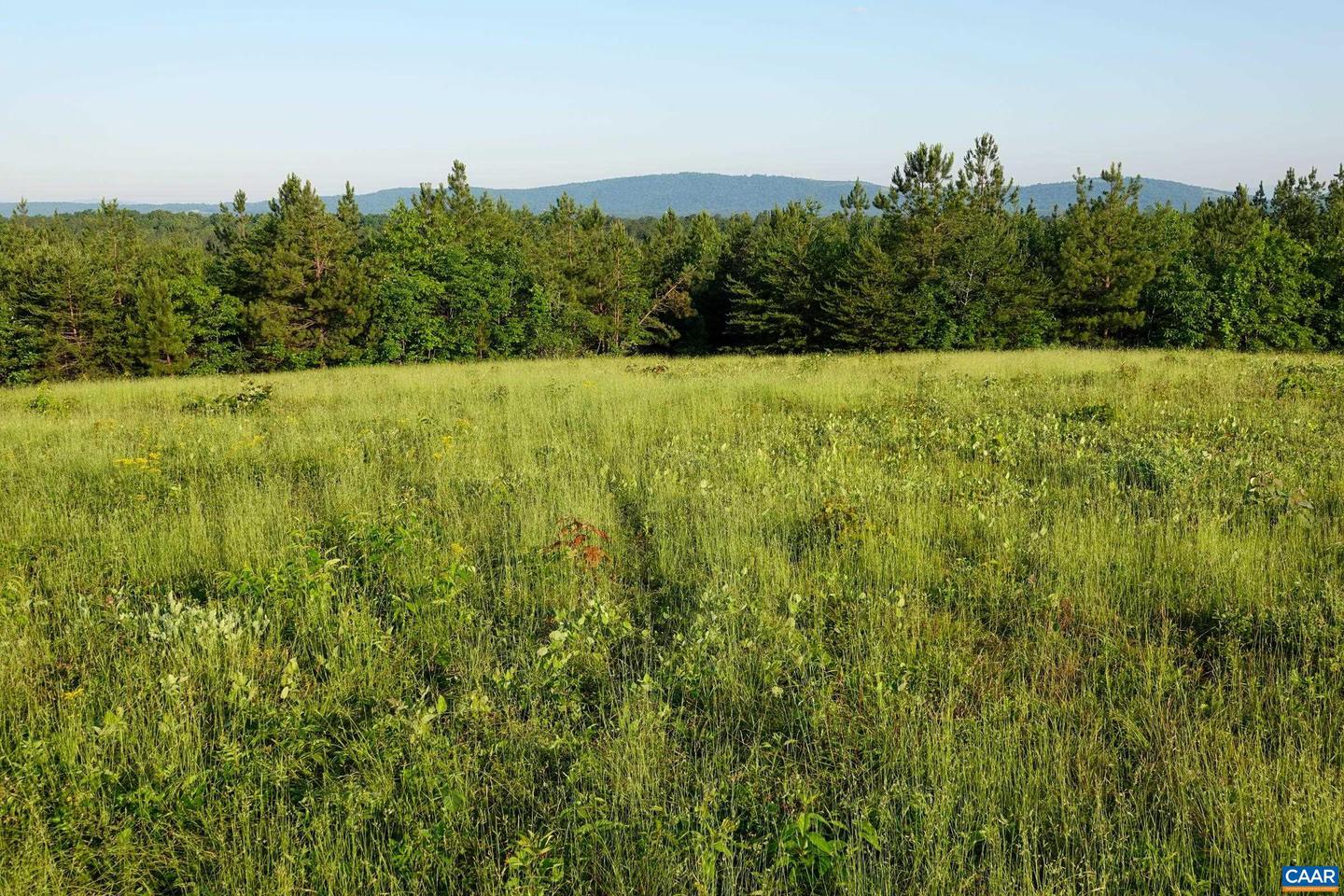 0 GARLAND DR, CHARLOTTESVILLE, Virginia 22902, ,Farm,For Sale,0 GARLAND DR,662742 MLS # 662742 0 GARLAND DR, CHARLOTTESVILLE, Virginia 22902, ,Farm,For Sale,0 GARLAND DR,662742 MLS # 662742