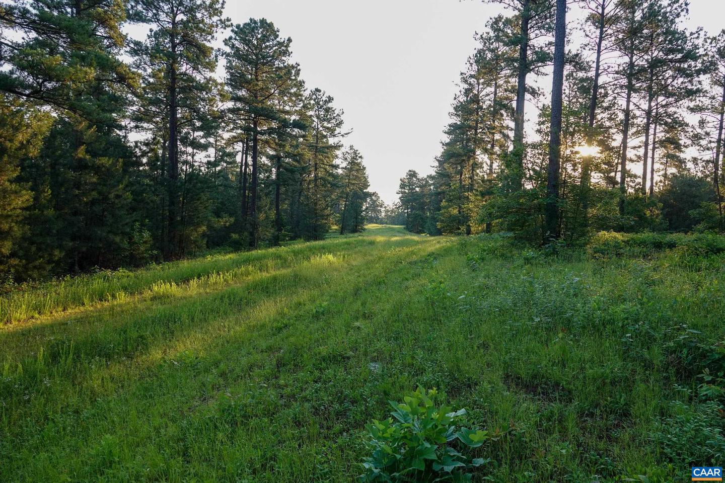 0 GARLAND DR, CHARLOTTESVILLE, Virginia 22902, ,Farm,For Sale,0 GARLAND DR,662742 MLS # 662742 0 GARLAND DR, CHARLOTTESVILLE, Virginia 22902, ,Farm,For Sale,0 GARLAND DR,662742 MLS # 662742