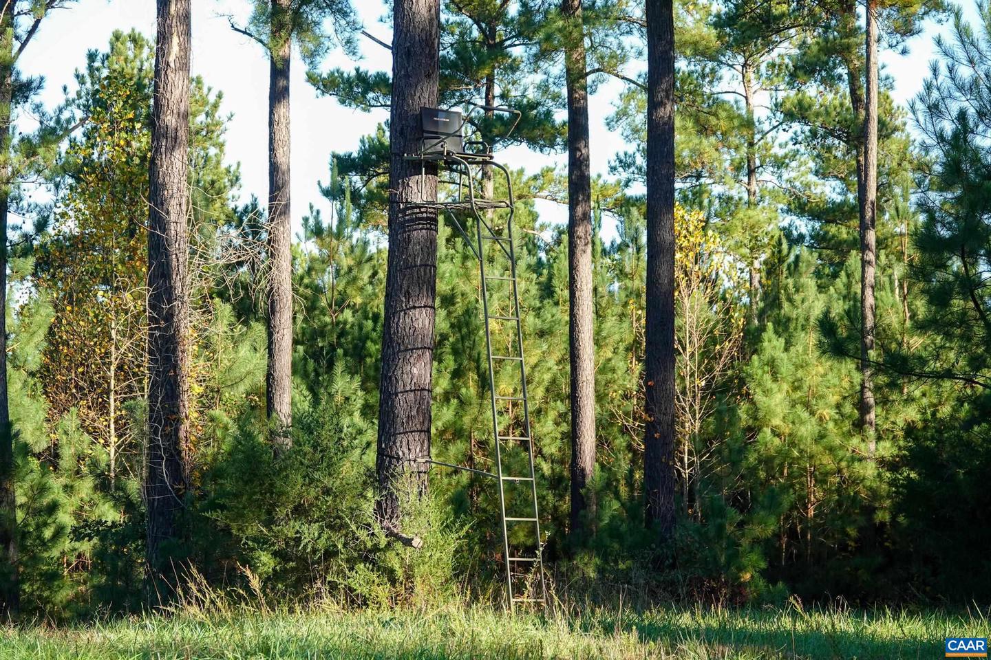 0 GARLAND DR, CHARLOTTESVILLE, Virginia 22902, ,Farm,For Sale,0 GARLAND DR,662742 MLS # 662742 0 GARLAND DR, CHARLOTTESVILLE, Virginia 22902, ,Farm,For Sale,0 GARLAND DR,662742 MLS # 662742