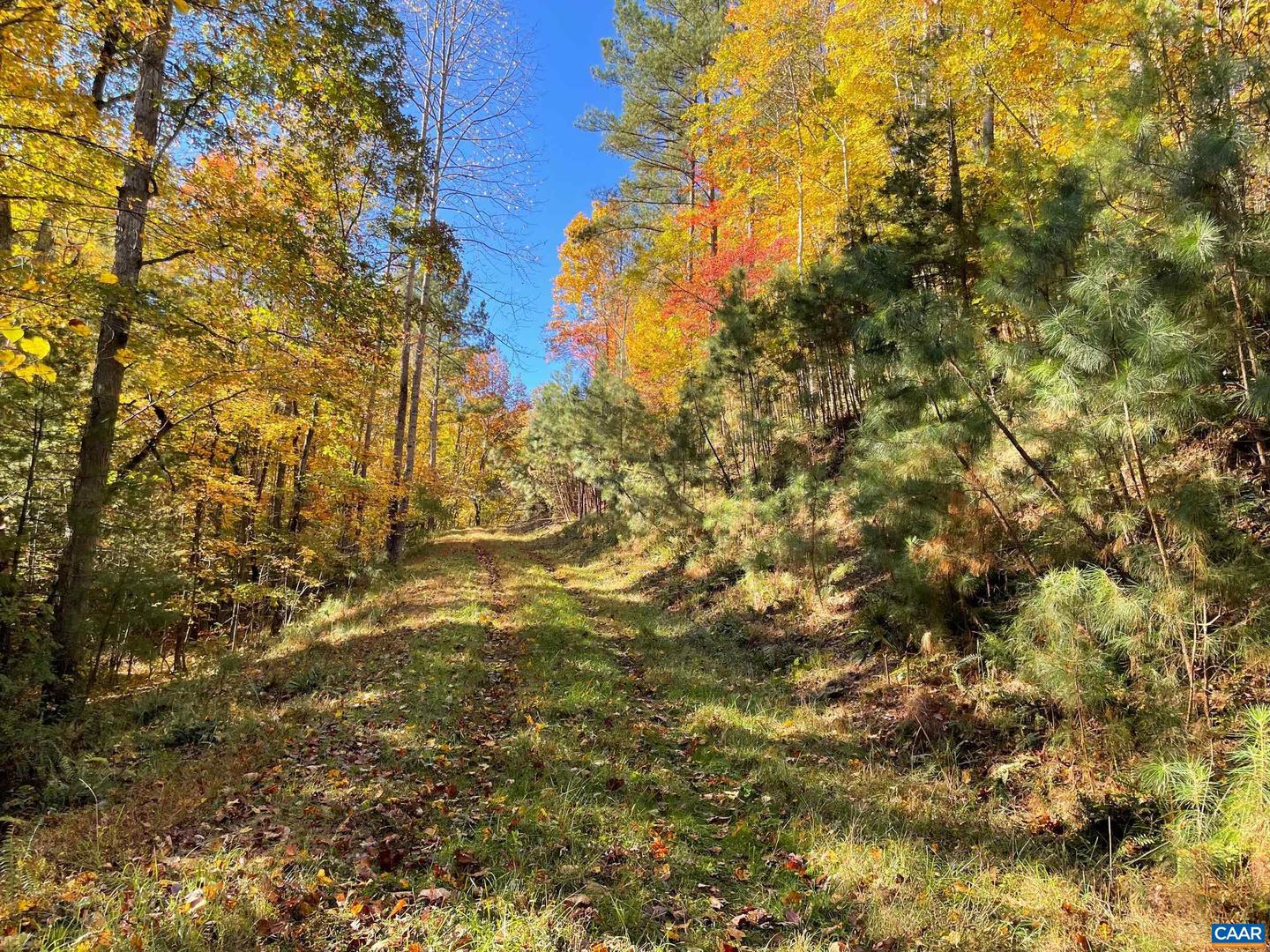 0 GARLAND DR, CHARLOTTESVILLE, Virginia 22902, ,Farm,For Sale,0 GARLAND DR,662742 MLS # 662742 0 GARLAND DR, CHARLOTTESVILLE, Virginia 22902, ,Farm,For Sale,0 GARLAND DR,662742 MLS # 662742