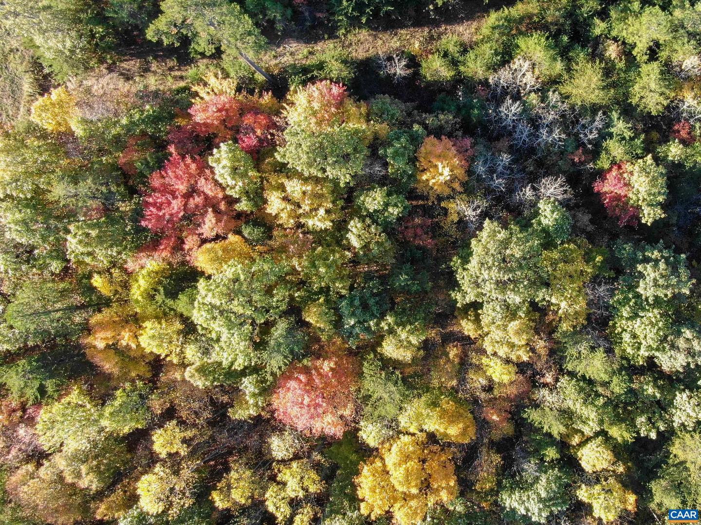 0 GARLAND DR, CHARLOTTESVILLE, Virginia 22902, ,Farm,For Sale,0 GARLAND DR,662742 MLS # 662742 0 GARLAND DR, CHARLOTTESVILLE, Virginia 22902, ,Farm,For Sale,0 GARLAND DR,662742 MLS # 662742