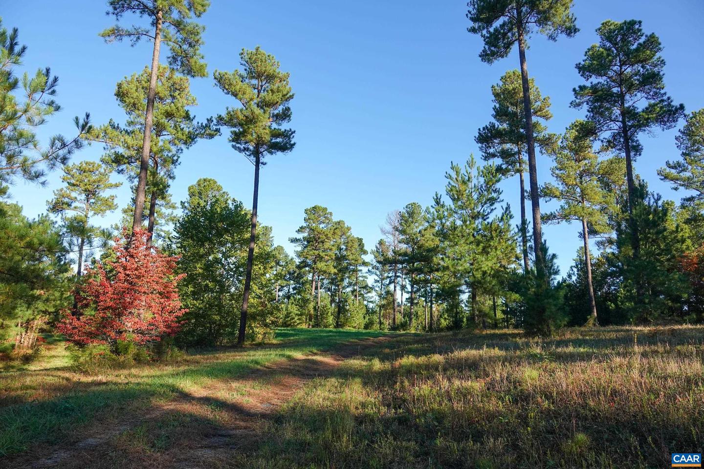 0 GARLAND DR, CHARLOTTESVILLE, Virginia 22902, ,Farm,For Sale,0 GARLAND DR,662742 MLS # 662742 0 GARLAND DR, CHARLOTTESVILLE, Virginia 22902, ,Farm,For Sale,0 GARLAND DR,662742 MLS # 662742