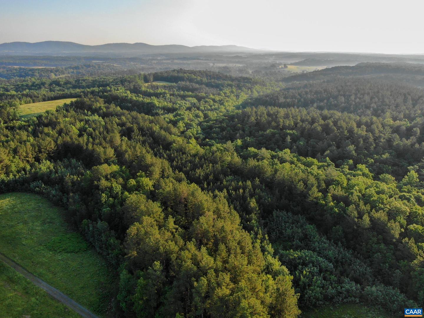 0 GARLAND DR, CHARLOTTESVILLE, Virginia 22902, ,Farm,For Sale,0 GARLAND DR,662742 MLS # 662742 0 GARLAND DR, CHARLOTTESVILLE, Virginia 22902, ,Farm,For Sale,0 GARLAND DR,662742 MLS # 662742