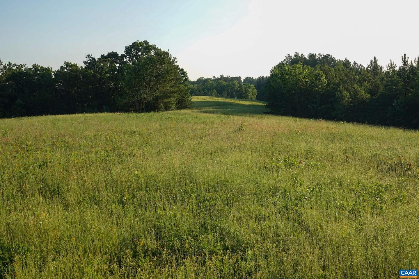 0 GARLAND DR, CHARLOTTESVILLE, Virginia 22902, ,Farm,For Sale,0 GARLAND DR,662742 MLS # 662742 0 GARLAND DR, CHARLOTTESVILLE, Virginia 22902, ,Farm,For Sale,0 GARLAND DR,662742 MLS # 662742