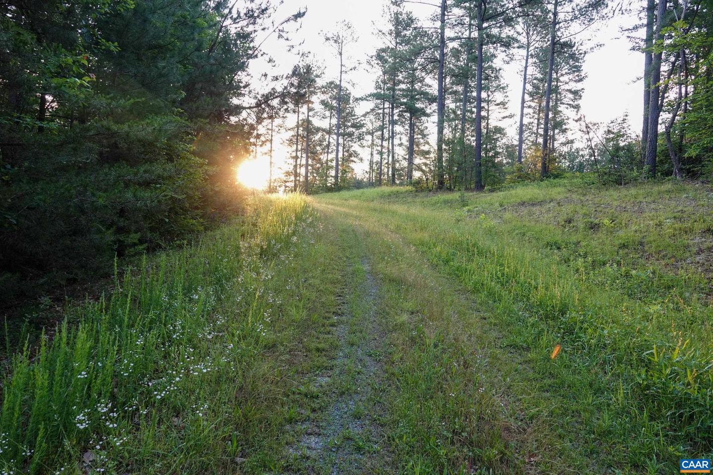 0 GARLAND DR, CHARLOTTESVILLE, Virginia 22902, ,Farm,For Sale,0 GARLAND DR,662742 MLS # 662742 0 GARLAND DR, CHARLOTTESVILLE, Virginia 22902, ,Farm,For Sale,0 GARLAND DR,662742 MLS # 662742