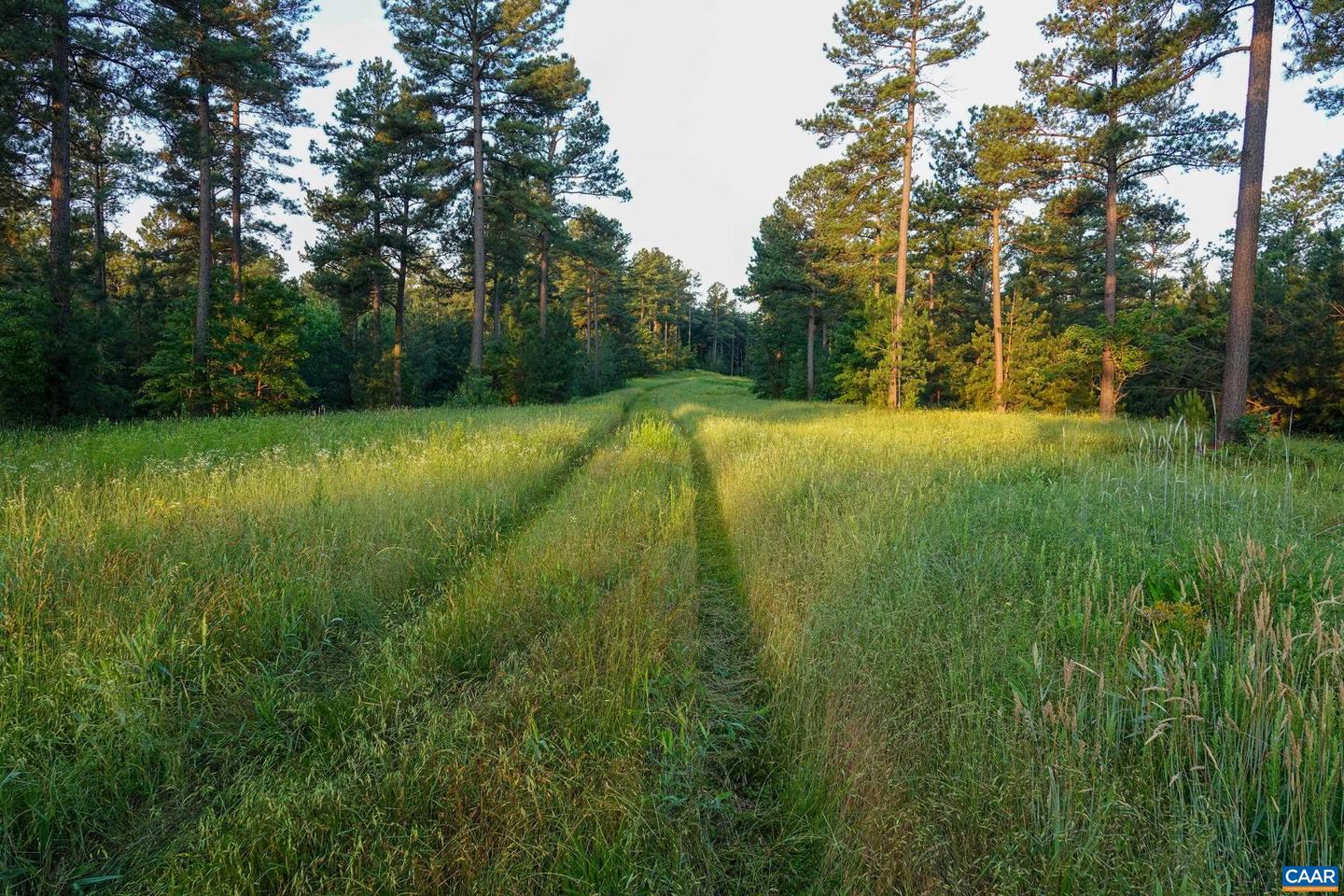 0 GARLAND DR, CHARLOTTESVILLE, Virginia 22902, ,Farm,For Sale,0 GARLAND DR,662742 MLS # 662742 0 GARLAND DR, CHARLOTTESVILLE, Virginia 22902, ,Farm,For Sale,0 GARLAND DR,662742 MLS # 662742