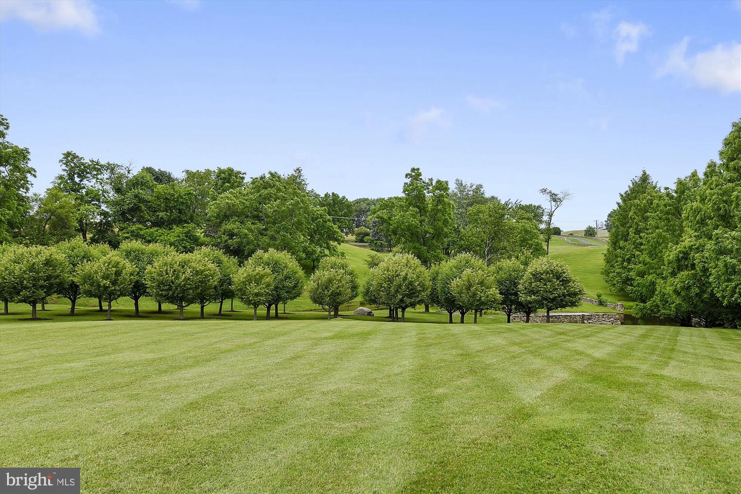 2547 HALFWAY RD, THE PLAINS, Virginia 20198, 5 Bedrooms Bedrooms, ,5 BathroomsBathrooms,Residential,For Sale,2547 HALFWAY RD,VAFQ2016012 MLS # VAFQ2016012 2547 HALFWAY RD, THE PLAINS, Virginia 20198, 5 Bedrooms Bedrooms, ,5 BathroomsBathrooms,Residential,For Sale,2547 HALFWAY RD,VAFQ2016012 MLS # VAFQ2016012