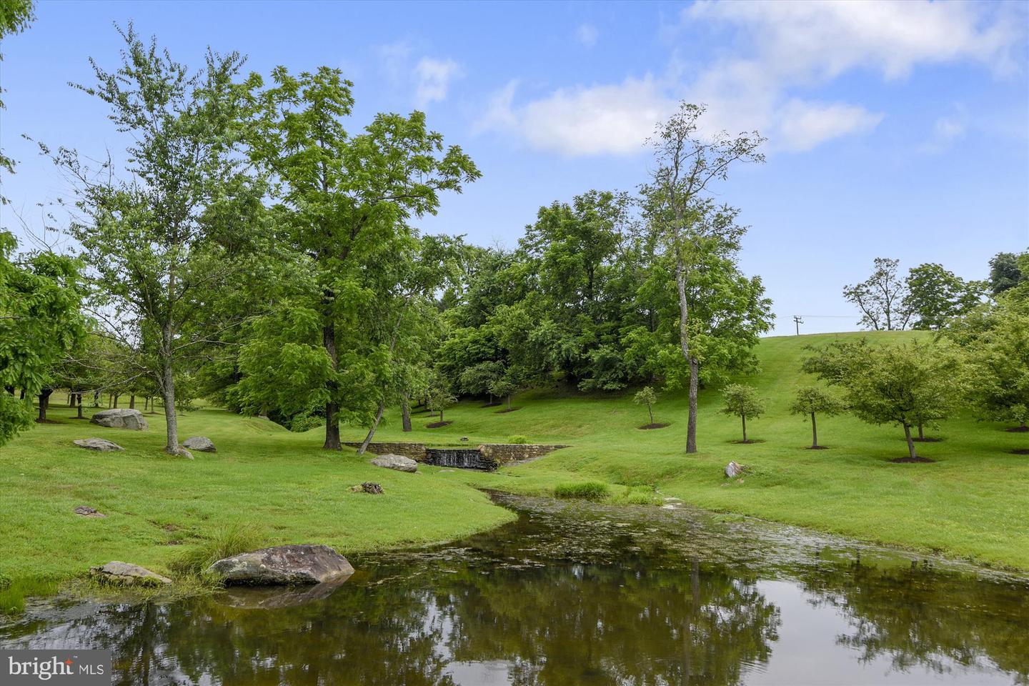 2547 HALFWAY RD, THE PLAINS, Virginia 20198, 5 Bedrooms Bedrooms, ,5 BathroomsBathrooms,Residential,For Sale,2547 HALFWAY RD,VAFQ2016012 MLS # VAFQ2016012 2547 HALFWAY RD, THE PLAINS, Virginia 20198, 5 Bedrooms Bedrooms, ,5 BathroomsBathrooms,Residential,For Sale,2547 HALFWAY RD,VAFQ2016012 MLS # VAFQ2016012