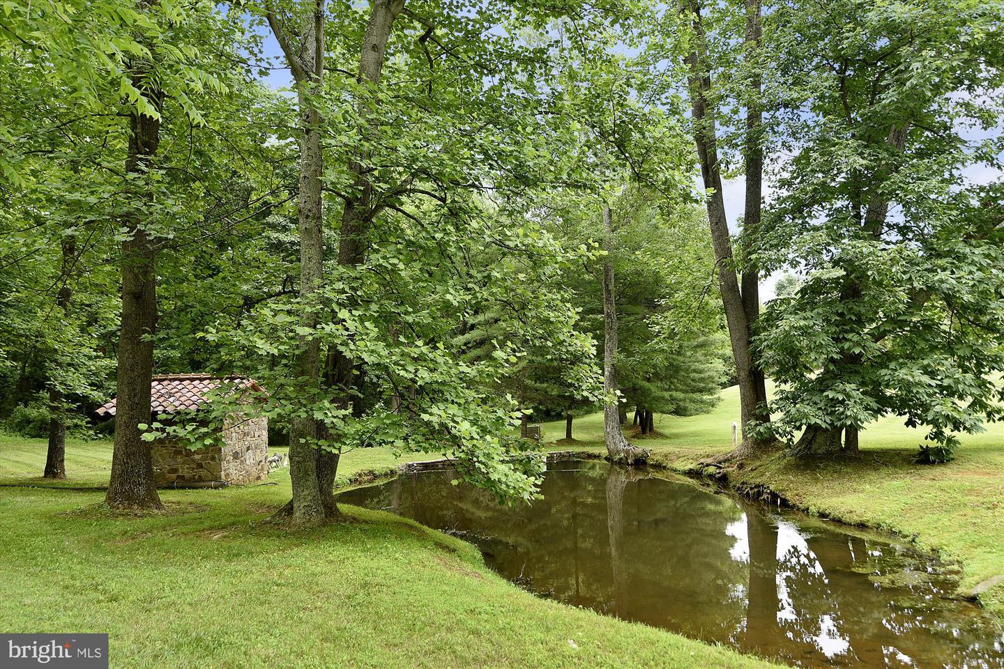 2547 HALFWAY RD, THE PLAINS, Virginia 20198, 5 Bedrooms Bedrooms, ,5 BathroomsBathrooms,Residential,For Sale,2547 HALFWAY RD,VAFQ2016012 MLS # VAFQ2016012 2547 HALFWAY RD, THE PLAINS, Virginia 20198, 5 Bedrooms Bedrooms, ,5 BathroomsBathrooms,Residential,For Sale,2547 HALFWAY RD,VAFQ2016012 MLS # VAFQ2016012