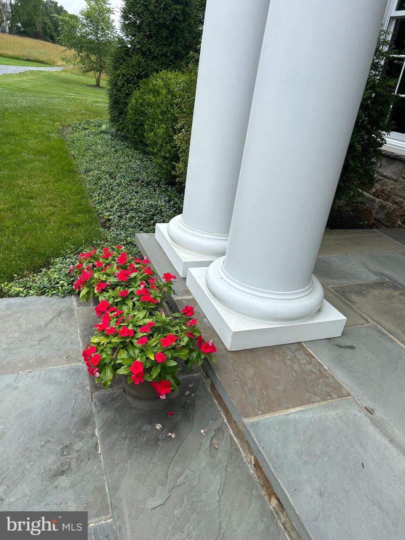 THE PLAINS, Virginia 20198, 7 Bedrooms Bedrooms, 40 Rooms Rooms,9 BathroomsBathrooms,Residential,For Sale,VAFQ2016064 MLS # VAFQ2016064 THE PLAINS, Virginia 20198, 7 Bedrooms Bedrooms, 40 Rooms Rooms,9 BathroomsBathrooms,Residential,For Sale,VAFQ2016064 MLS # VAFQ2016064