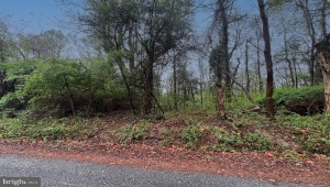 DINGLEY RD, MONTROSS, Virginia 22520, ,Land,For Sale,DINGLEY RD,VAWE2008650 MLS # VAWE2008650