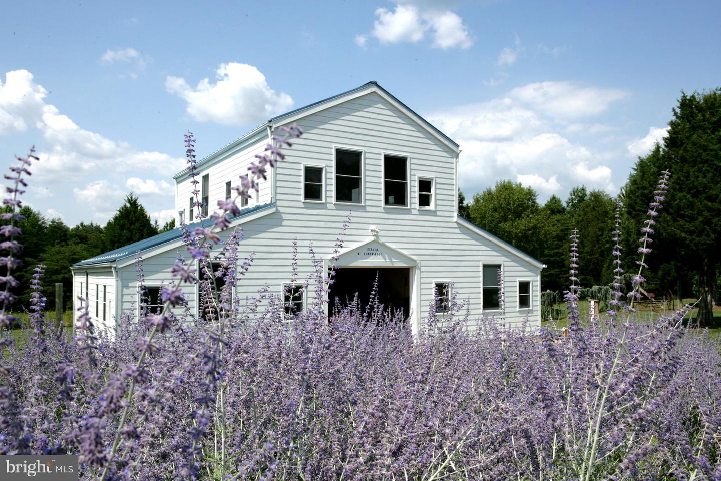 5902 PATRIOT HWY, WOODFORD, Virginia 22580, 4 Bedrooms Bedrooms, ,4 BathroomsBathrooms,Residential,For Sale,5902 PATRIOT HWY,VASP2011588 MLS # VASP2011588